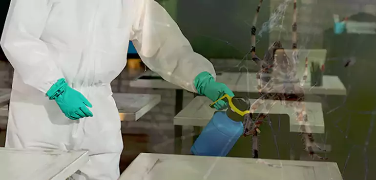Why Buyers Still Want Homes With Pest Infestations in Shreveport, LA?
