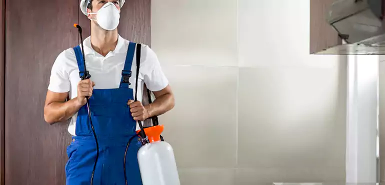 Why Shreveport Homeowners Choose Us When Pests Make Selling Difficult